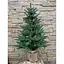 Ялинка Hvoya Classic лита пишна в мішковині 90 см зелена - мініатюра 1