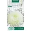 Насіння Айстра Насіння України Піоновидна Німфа 0.25 г (770800) - мініатюра 1