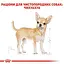 Влажный корм Royal Canin Chihuahua Adult для собак породы Чихуахуа 1,02 кг (12 шт. х 85 г) - миниатюра 4
