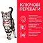 Сухий корм Hill's SP Adult Hairball Indoor для котів виведення грудочок шерсті з куркою 3 кг - мініатюра 2