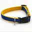 Нашийник для собак Zoo-hunt Стиль 2,0 см 25-38 см капроновий синьо-жовтий - мініатюра 1