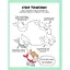 Книга для досуга "Как нарисовать русалку и других волшебных существ" 101070, 64 страницы - миниатюра 3