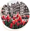 Дерев’яний пазл в коробці Тюльпани Амстердаму - мініатюра 1