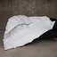 Одеяло пуховое MirSon Raffaello 051, king size, 240x220, белое (2200005895030) - миниатюра 18