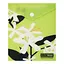 Папка-конверт А6 на кнопці PLUMERIA ARABESKI салатова BM.3922-15 BUROMAX матовий напівпрозорий пластик (4823126816531) - мініатюра 1