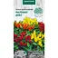 Семена Перец Насіння України Маленькое чудо декоративный 0.2 г (795400) - миниатюра 1