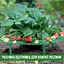 Підставка під полуницю| тримач для кущотримача (комплект 5 шт.) - мініатюра 2