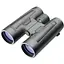 Бінокль Leupold 10x42 BX-2 Acadia Roof Black - мініатюра 1