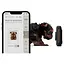 Фотокамера моментальной печати Fujifilm Instax Mini LiPlay Deep Bronze (16835184) [118838] - миниатюра 11