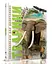 Енциклопедія для допитливих А5: Тварини, Талант - мініатюра 1
