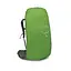 Рюкзак Osprey Kestrel 48 Bonsai Green L XL (1054-009.3312) - миниатюра 5