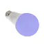 Лампа Brille кольорова з пультом LED 5W+W E27 RGB R+DR A60, 220 В - мініатюра 9