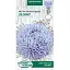 Насіння Айстра Насіння України Піоновидна Лазурит 0.25 г (770700) - мініатюра 1