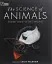 The Science of Animals - мініатюра 1