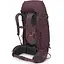 Рюкзак Osprey Kyte 48 Purple XS S (1054-009.3327) - миниатюра 3