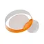 Світлодіодне бра Brille BR-01 666W/5W NW LED WH/G - мініатюра 1