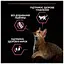 Сухой корм для кошек Purina Pro Plan Delicate Turkey со вкусом индейки 10 кг (7613033566509) - миниатюра 5
