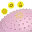 Мяч для фитнеса (фитбол) Cornix 65 см массажный Anti-Burst Light Pink XR-0489 - миниатюра 2