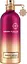 Парфюмированная вода Montale Sensual Instinct 100 мл  - миниатюра 1