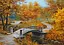 Пазли CherryPazzi Осінь в старому парку, 1000 елементів, 50x70 см, 30240 - мініатюра 1