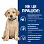 Сухий корм для цуценят Hill’s Prescription Diet Derm Complete при харчовій алергії та атопічному дерматиті, з рисом і яйцем, 12 кг - мініатюра 2