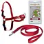 Premier Easy Walk легкая прогулка антирывок шлея для собак (SPEW_H_L_RD_17) - миниатюра 1