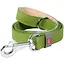 Поводок для собак Waudog Classic кожаный салатовый - миниатюра 1