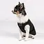 Боротьба Pet Fashion FBI для собак, розмір XS2, чорна - мініатюра 6