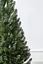 Елка искусственная литая в горшке литая ”Лапландская Зеленая” 1.1 м - миниатюра 4