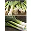 Лук "Порей" ТМ "Весна" 2г (13361) - миниатюра 3