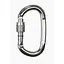 Карабін Climbing Technology Pillar SG Alu Сірий (1053-2C46300 XTB) - мініатюра 1
