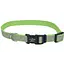 Нашийник для собак Coastal Lazer Brite Reflective Collar 1,6 см x 30-45 см світловідбиваючий - мініатюра 1