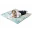 Ігровий килимок Chicco Relax and Play 2 в 1 (11939.00) - мініатюра 3