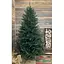 Ялинка Hvoya Super Traditional лита пишна 220 см зелена - мініатюра 3