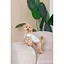 Шлея-жилет Pet Fashion Rob для собак розмір XS2 - мініатюра 4