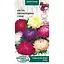 Насіння Айстра піоновидна Насіння України суміш 0.25 г (770200) - мініатюра 1