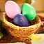 Зростаюча іграшка-сюрприз #sbabam Eggy Animals Пташки 91/CN22 - мініатюра 2
