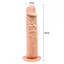 Фалоімітатор Barbara 7.8 '' Calvin Flesh 20 см тілесний - мініатюра 4