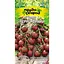 Насіння Томат високорослий Насіння України Чєррі чорний 0.1 г (667020) - мініатюра 1