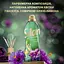 Кондиціонер для білизни Silan Ароматерапія Дивовижні Джунглі 770 мл - мініатюра 2