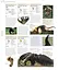 Animal. The Definitive Visual Guide - миниатюра 2