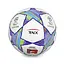 Мяч футбольный Newt Rnx Champion League №5 NE-F-AD - миниатюра 1