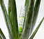 EG016 Лубрикант на водній основі AsyGlide Aloe Vera, 30 мл - мініатюра 2