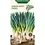 Семена лука-батун Семена Украины Пьеро 1 г (570300) - миниатюра 1