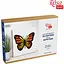Набір картина 3D Rosa Talent Метелик 2 МДФ ґрунтоване 4 шари 17х17 см  - мініатюра 2