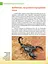 Енциклопедія для допитливих А5 : Найнебезпечніші істоти планети (Українська, 01 КРЕЙДОВАНА ) - миниатюра 4