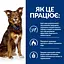 Сухий корм для собак Hill’s Prescription Diet Metabolic для контролю та зниження ваги, з ягням і рисом, 1,5 кг - мініатюра 3