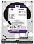 Жесткий диск Western Digital 3.5 Purple 1Tb (WD10PURZ) - миниатюра 1