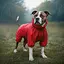 Дождевик для собак Collar Waudog Clothes, водонепроницаемый, XS25, В 36-38 см, С 26-28 см, красный - миниатюра 4