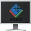 Монитор 21.3" Eizo FlexScan S2100 Grey - Class A "Б/У" - миниатюра 1